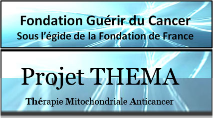 Fondation Guérir du Cancer – Point d’activité février 2022.